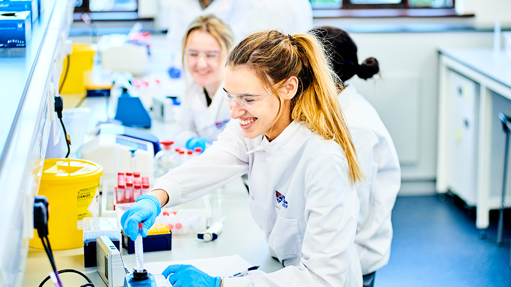 Pharmacy students working in a lab